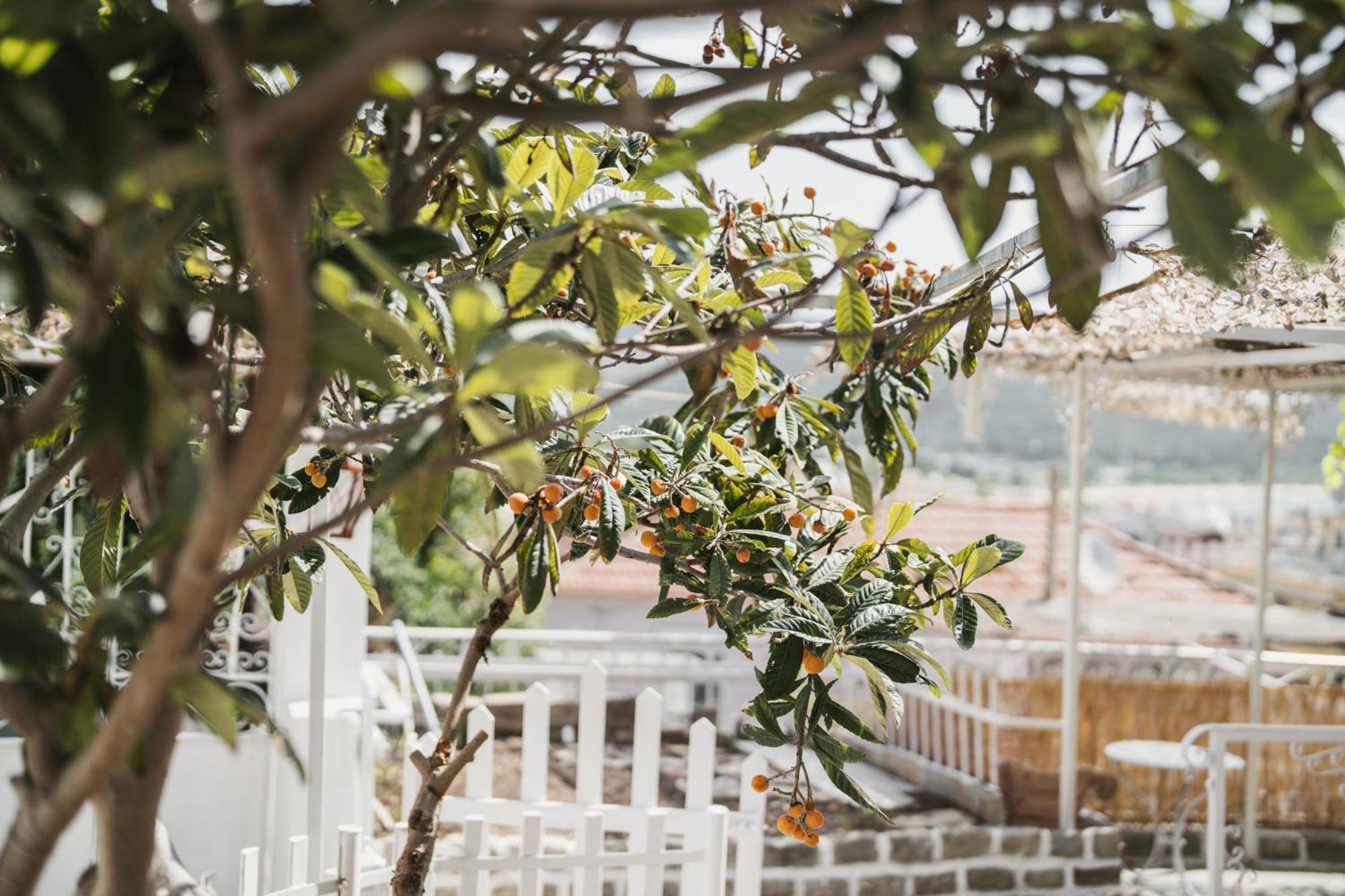 The Garden House Daire Kavala Dış mekan fotoğraf