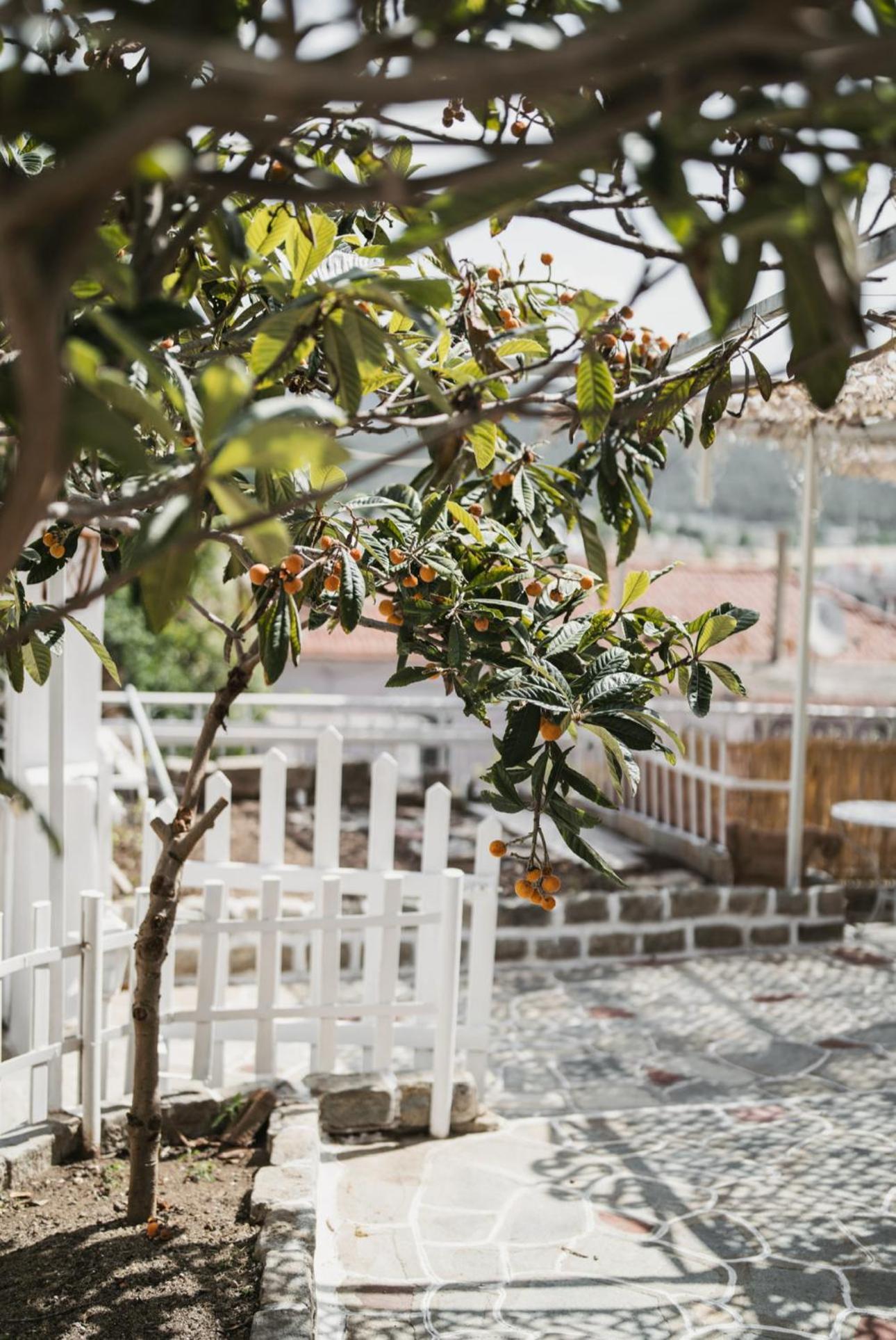 The Garden House Daire Kavala Dış mekan fotoğraf